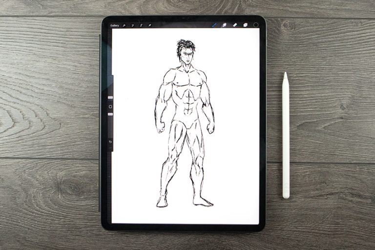 Anime Anatomy Drawing – Create the Body Base of Your Anime