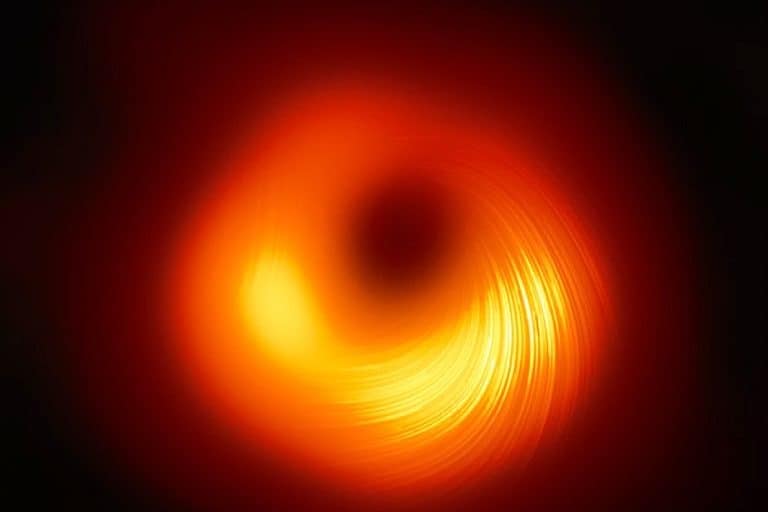 Black Hole Picture – A Glimpse of the Unseen