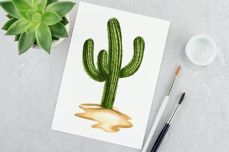 How to Draw a Cactus – A Step-by-Step Realistic Cactus Drawing