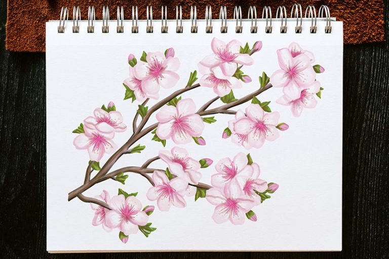 How to Draw a Cherry Blossom – Sakura Flower Sketch Lesson