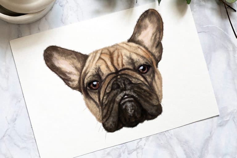 How to Draw a Dog Face – A Fun Drawing Tutorial!