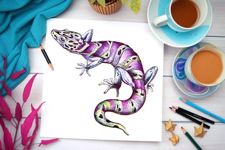 How to Draw a Lizard  – Create a Realistic Lizard Drawing