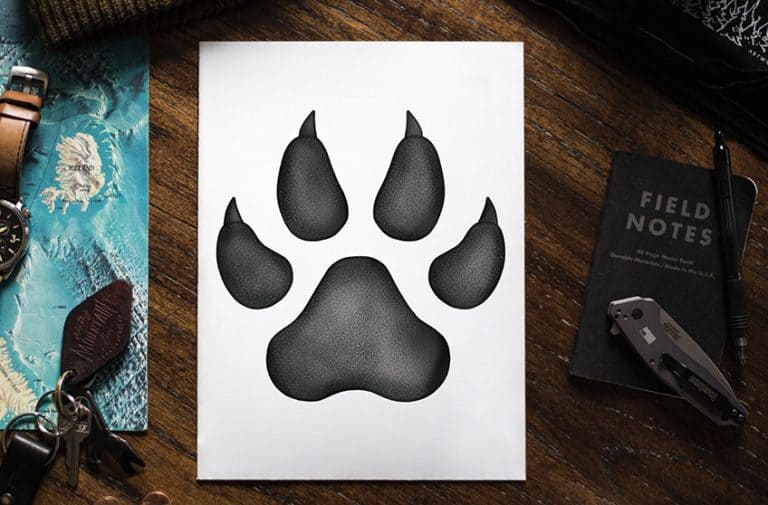 How to Draw a Paw Print – Easy Step-by-Step Guide