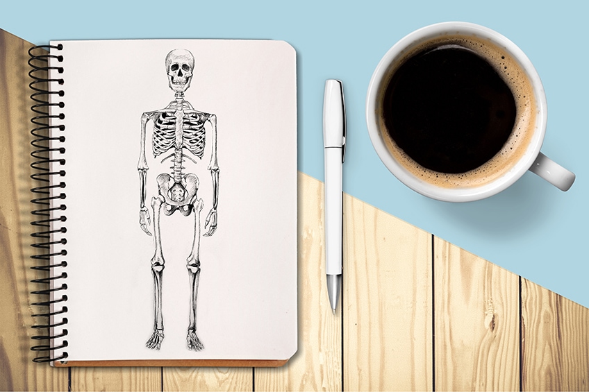 How to Draw a Skeleton