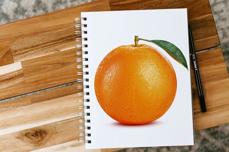 How to Draw an Orange – A Juicy and Realistic Orange Drawing Tutorial