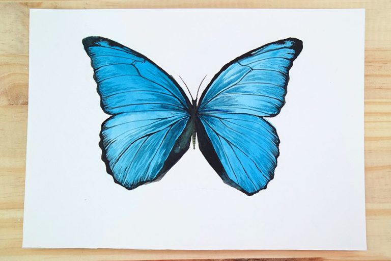 How to Paint a Watercolor Butterfly – A Watercolor Butterfly Tutorial